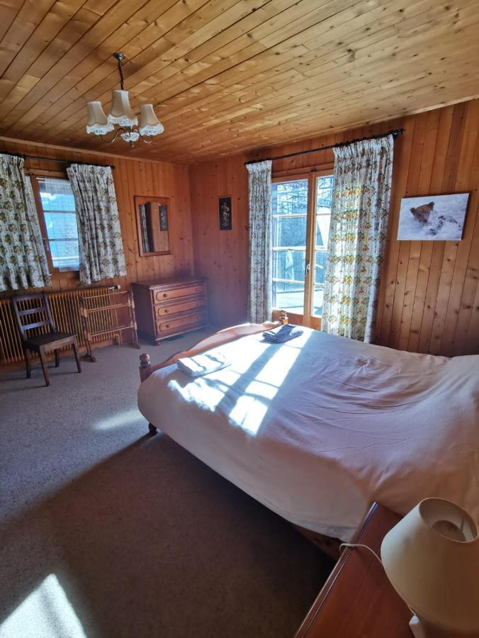 Chalet Traditionnel Avec Jacuzzi Exterieur Bex Exteriér fotografie